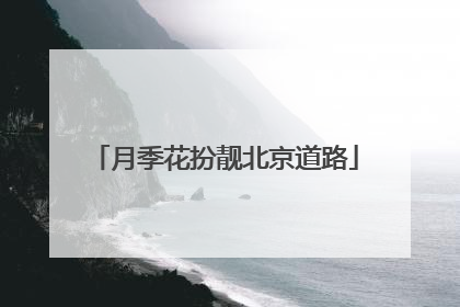月季花扮靓北京道路