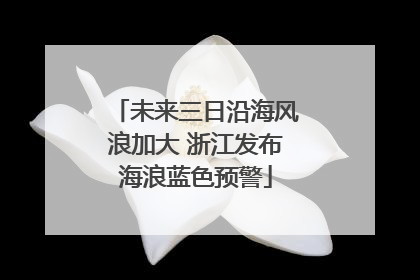 未来三日沿海风浪加大 浙江发布海浪蓝色预警