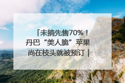 未摘先售70%！丹巴“美人脆”苹果尚在枝头就被预订｜长征路上看四川