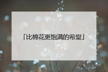 比棉花更饱满的希望