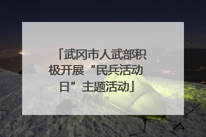 武冈市人武部积极开展“民兵活动日”主题活动