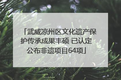 武威凉州区文化遗产保护传承成果丰硕 已认定公布非遗项目64项