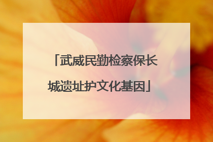 武威民勤检察保长城遗址护文化基因