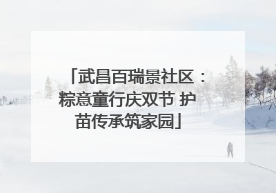 武昌百瑞景社区：粽意童行庆双节 护苗传承筑家园