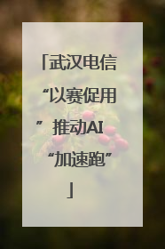武汉电信“以赛促用”推动AI“加速跑”
