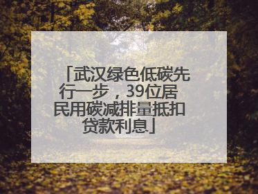 武汉绿色低碳先行一步，39位居民用碳减排量抵扣贷款利息