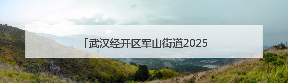 武汉经开区军山街道2025年“安全生产月”活动启动