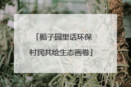 栀子园里话环保 村民共绘生态画卷