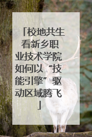 校地共生 看新乡职业技术学院如何以“技能引擎”驱动区域腾飞