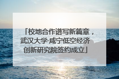 校地合作谱写新篇章，武汉大学·咸宁低空经济创新研究院签约成立