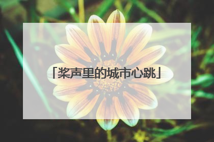桨声里的城市心跳