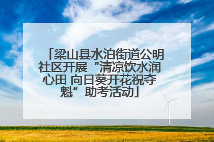 梁山县水泊街道公明社区开展“清凉饮水润心田 向日葵开花祝夺魁”助考活动