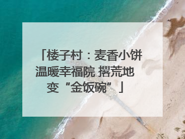 楼子村：麦香小饼温暖幸福院 撂荒地变“金饭碗”