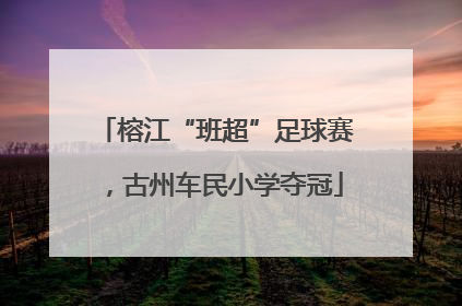 榕江“班超”足球赛，古州车民小学夺冠