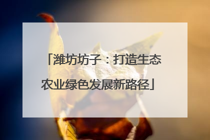 潍坊坊子：打造生态农业绿色发展新路径