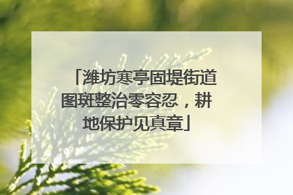 潍坊寒亭固堤街道图斑整治零容忍，耕地保护见真章