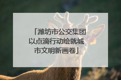 潍坊市公交集团以点滴行动绘就城市文明新画卷