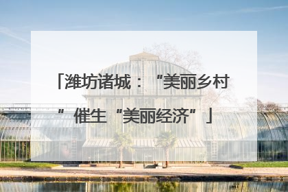 潍坊诸城：“美丽乡村”催生“美丽经济”