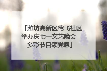 潍坊高新区鸢飞社区举办庆七一文艺晚会 多彩节目颂党恩