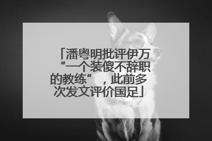 潘粤明批评伊万“一个装傻不辞职的教练”，此前多次发文评价国足