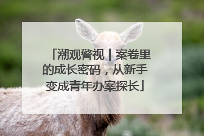 潮观警视｜案卷里的成长密码，从新手变成青年办案探长