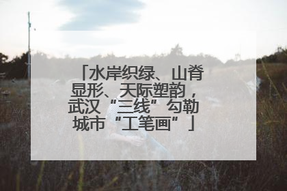 水岸织绿、山脊显形、天际塑韵，武汉“三线”勾勒城市“工笔画”