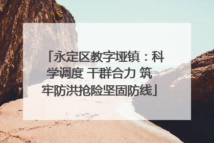 永定区教字垭镇：科学调度 干群合力 筑牢防洪抢险坚固防线