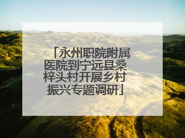 永州职院附属医院到宁远县桑梓头村开展乡村振兴专题调研
