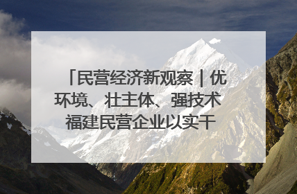 民营经济新观察｜优环境、壮主体、强技术 福建民营企业以实干担当聚势谋进
