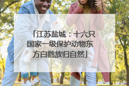 江苏盐城：十六只国家一级保护动物东方白鹳放归自然