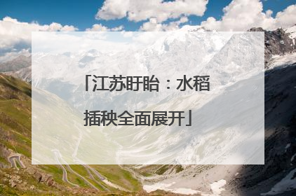 江苏盱眙：水稻插秧全面展开