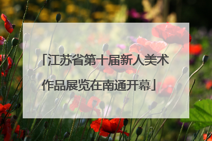 江苏省第十届新人美术作品展览在南通开幕