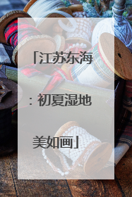 江苏东海：初夏湿地美如画