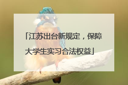 江苏出台新规定，保障大学生实习合法权益