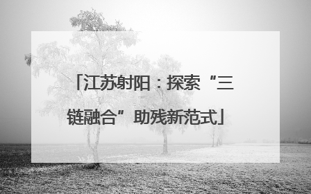 江苏射阳：探索“三链融合”助残新范式