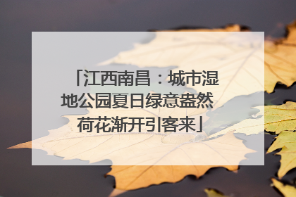 江西南昌：城市湿地公园夏日绿意盎然 荷花渐开引客来
