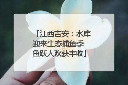 江西吉安：水库迎来生态捕鱼季 鱼跃人欢获丰收