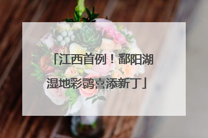 江西首例！鄱阳湖湿地彩鹮喜添新丁