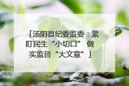 汤阴县纪委监委：紧盯民生“小切口” 做实监督“大文章”
