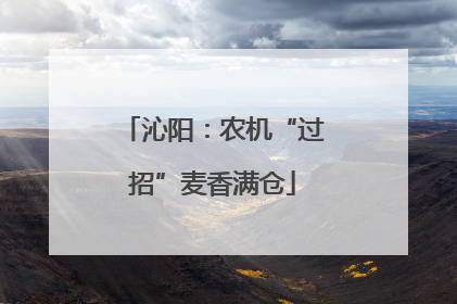 沁阳：农机“过招”麦香满仓