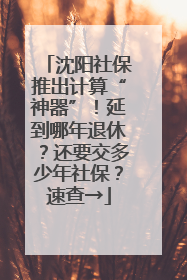 沈阳社保推出计算“神器”！延到哪年退休？还要交多少年社保？速查→