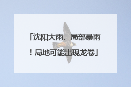 沈阳大雨、局部暴雨！局地可能出现龙卷