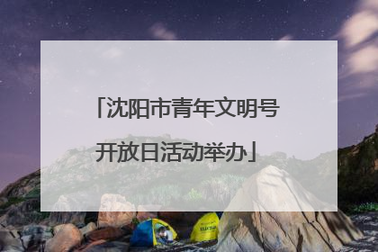 沈阳市青年文明号开放日活动举办