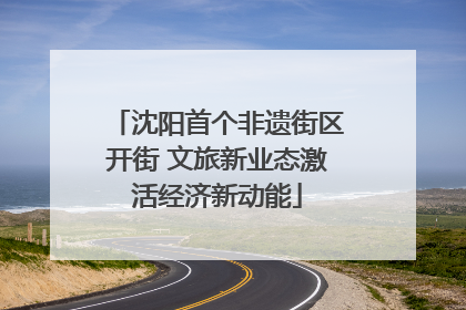 沈阳首个非遗街区开街 文旅新业态激活经济新动能
