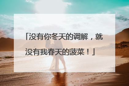 没有你冬天的调解，就没有我春天的菠菜！