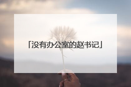 没有办公室的赵书记