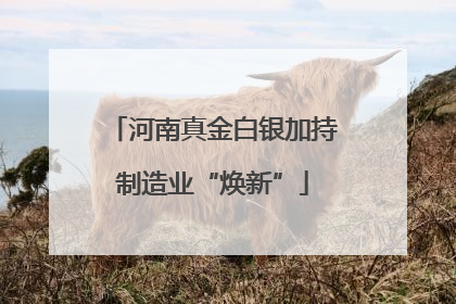 河南真金白银加持制造业“焕新”