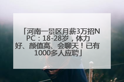 河南一景区月薪3万招NPC：18-28岁，体力好、颜值高、会聊天！已有1000多人应聘