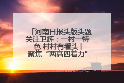 河南日报头版头题关注卫辉：一村一特色 村村有看头 ︳聚焦“两高四着力”·一“县”观察