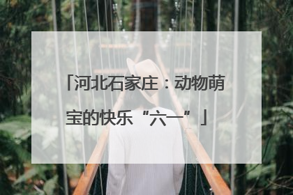河北石家庄：动物萌宝的快乐“六一”